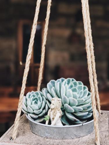 Makoadi Farms Guesthouse Makoadi Farms Guesthouse