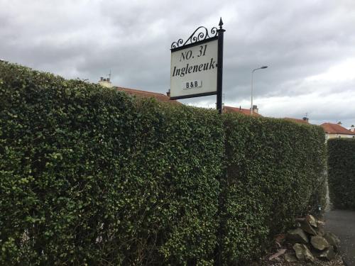 Ingleneuk Bed and Breakfast - image 7