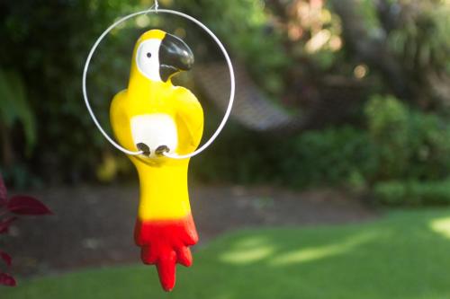 兰花公园酒店 兰花公园酒店