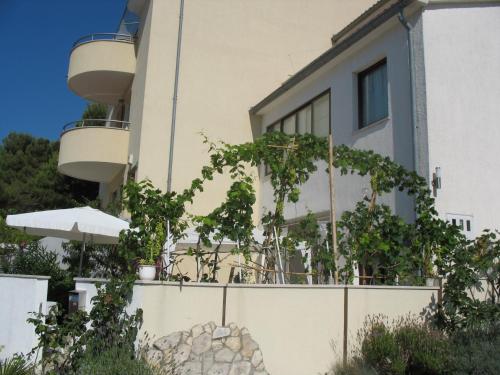 Apartments Eva - image 10