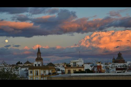 Apartamentos Sevilla - image 12