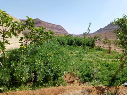 Ecolodge berbère house Ecolodge berbère house