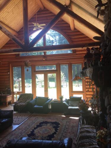 Redwood forest Redwood forest