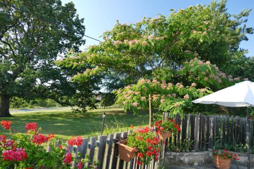 Un Gite de Charme en Haute Provence