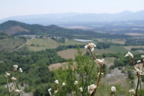 Un Gite de Charme en Haute Provence