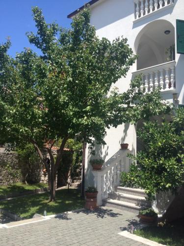 Apartmani Vukičević - Apartment - Vodice