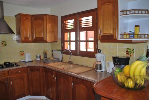 Kitchen, Villa Nature & Villa Alizes in Gosier