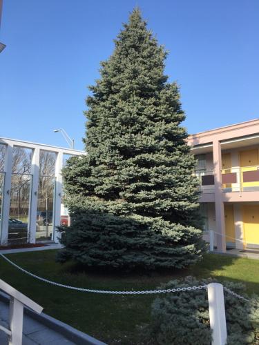 Ramada by Wyndham Rockville Centre - image 6
