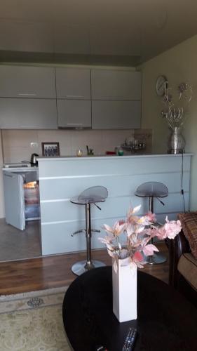 Апартаменты Ирина М, Bar (Foto 4)