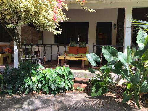 Entrada, Martinique Treehouse in Le Carbet