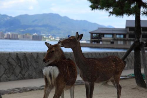 Global Resort ONO de LUNE – Hatsukaichi, OK
