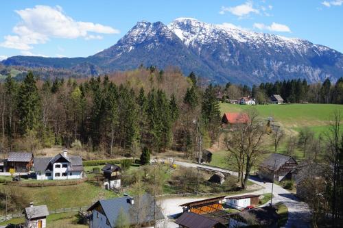  Apartments Helga, Pension in Bad Goisern