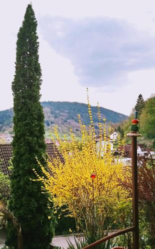Udsigt, Casa la Collina delle Ginestre in Eberbach