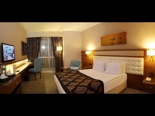 Revag Palace Hotel - image 13