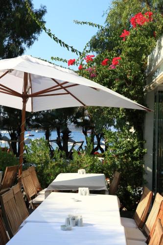 Okaliptus Hotel - image 5