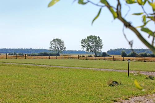 Højgård Bed & Breakfast - image 5