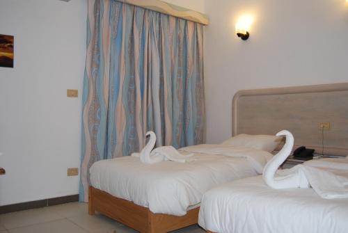Acacia Dahab Hotel - image 2