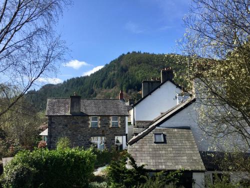 Crafnant House - Bed & Breakfast