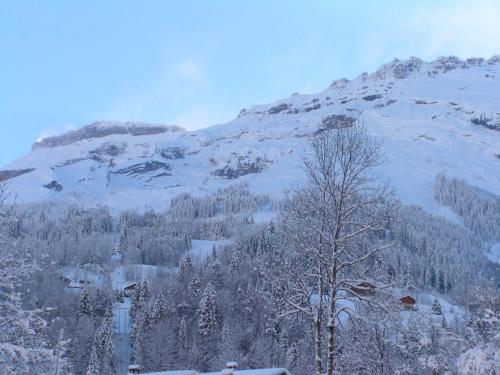 Chalet des Cascades - image 12