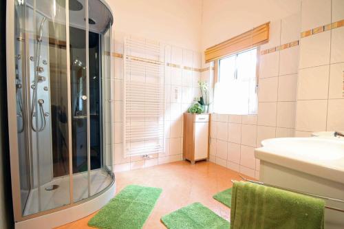 Almliesl GAST-481 - image 3