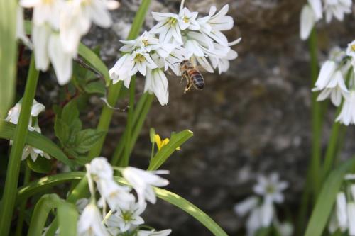 L'Antico Borgo B&B - image 5