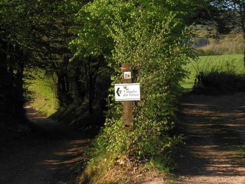 Moulin des Vernes - image 11