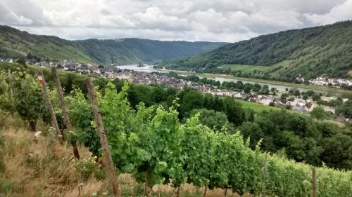 Weingut Sauer-Kettermann