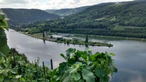 Weingut Sauer-Kettermann