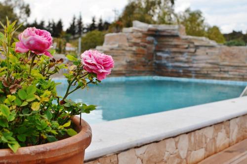 Natura House - image 3