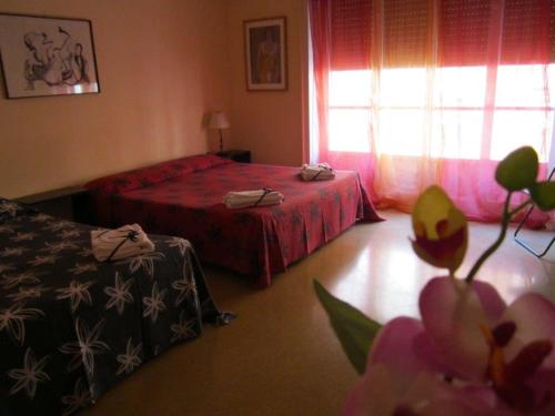 Da Mary Guest House, Palermo (fotografie 10)