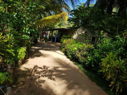 ガーデン, Nilaveli Beach Rooms in トリンコマリー