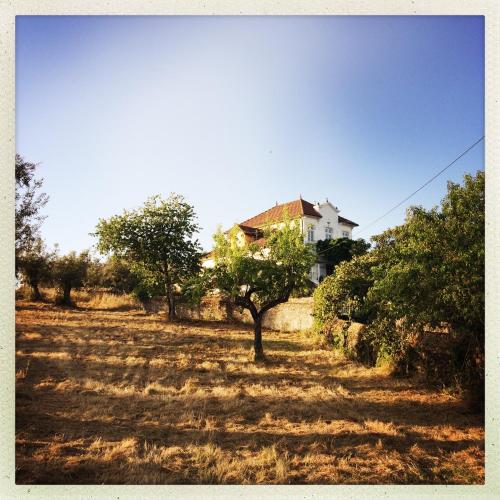  Latas Country House in Penacova