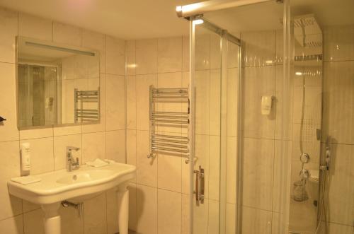 Senler Boutique Hotel - image 5