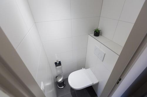 Hotel Botterweck Room Type - Junior Suite