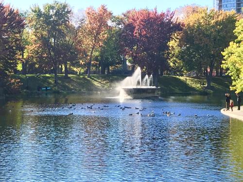 Suite Mont-Royal by MTLVacationRentals