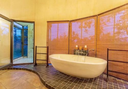 Tholo Private Game Lodge Tholo Private Game Lodge