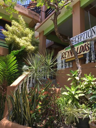 Garden, Reynaldo's Upstairs in Puerto Galera