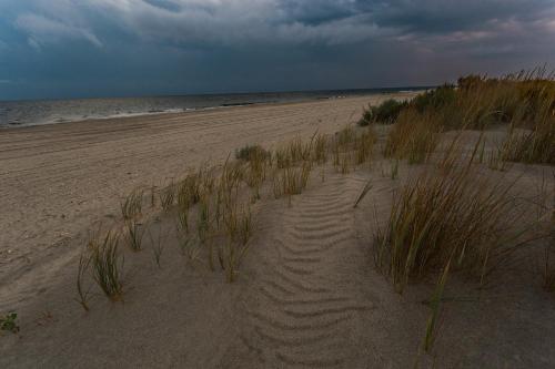 La Olteanu La Olteanu