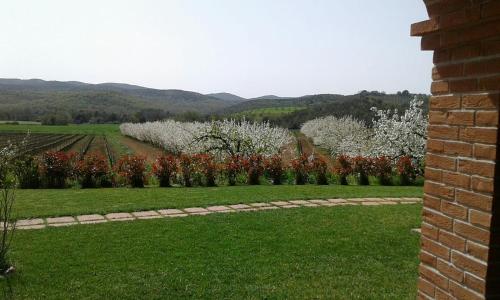 Il Giardino dei Ciliegi