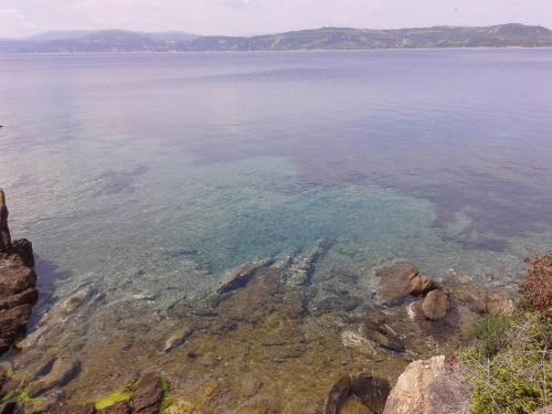 Marvelous Sea View Eco Apt - image 10