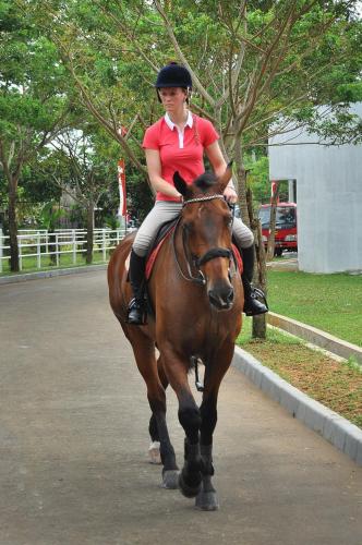 APM Equestrian Resort