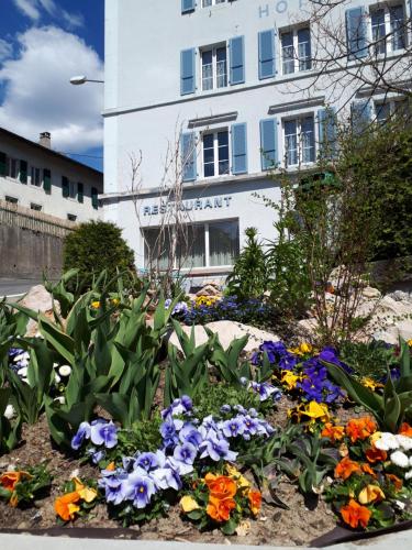 Hôtel de France - image 7