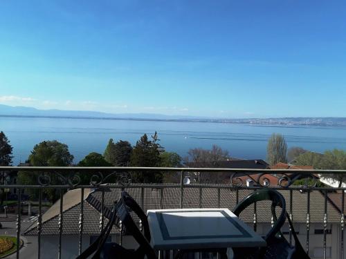 Hôtel Evian Express - Terminus 5