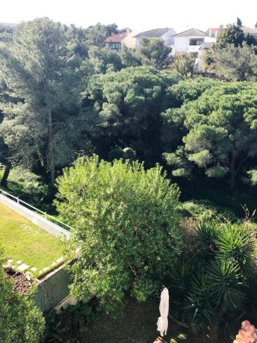  Audi's House in Cascais