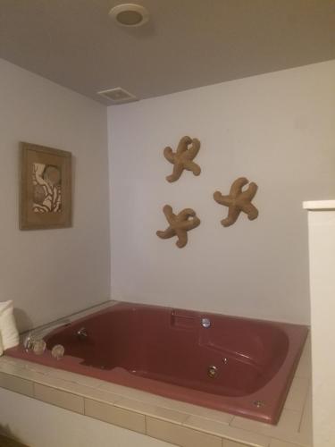 The Guesthouse Ocean View Cottages - 편의 시설/서비스
