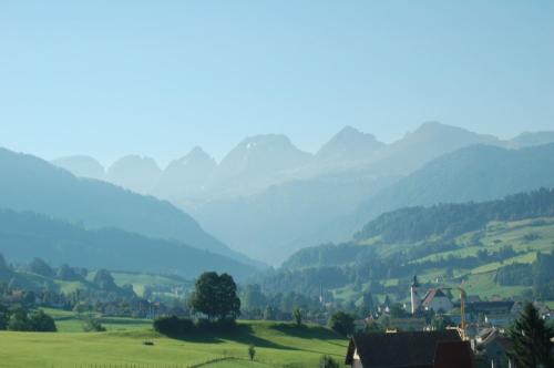 Gasthaus Schäfli - image 11