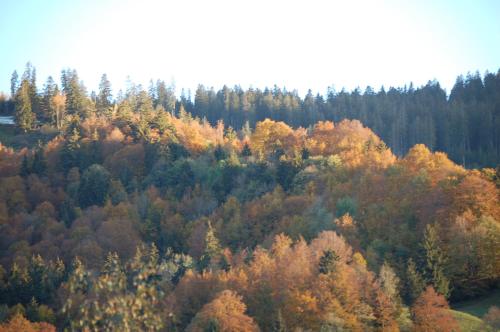 Gasthaus Schäfli