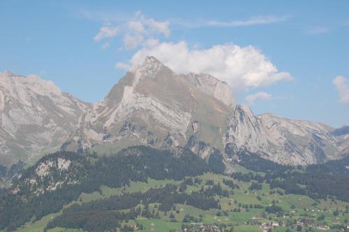 Gasthaus Schäfli