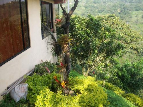 finca Las Margaritas