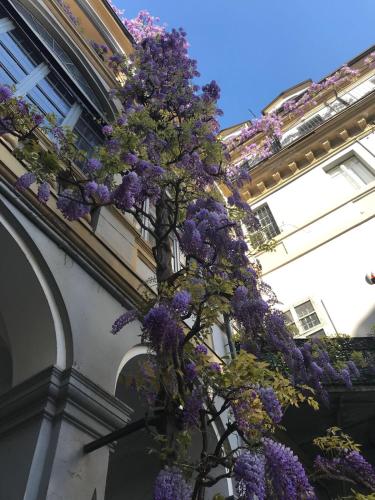 Acadamis - Apartment Cleopatra, Torino (foto 11)